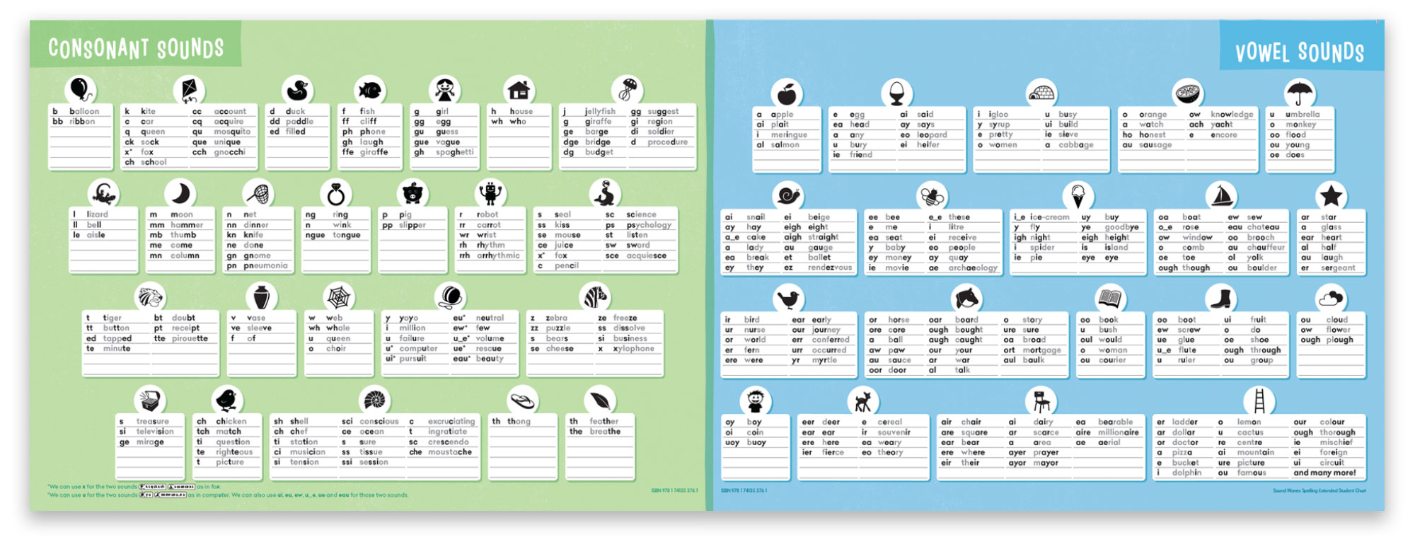 Sound Waves Extended Student Chart Firefly Education Store